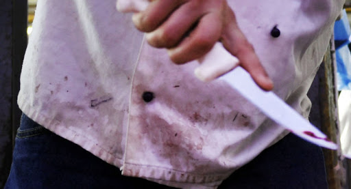 Seks porno onlayn sevgi va jinsiy aloqa Yetuk tranny porno